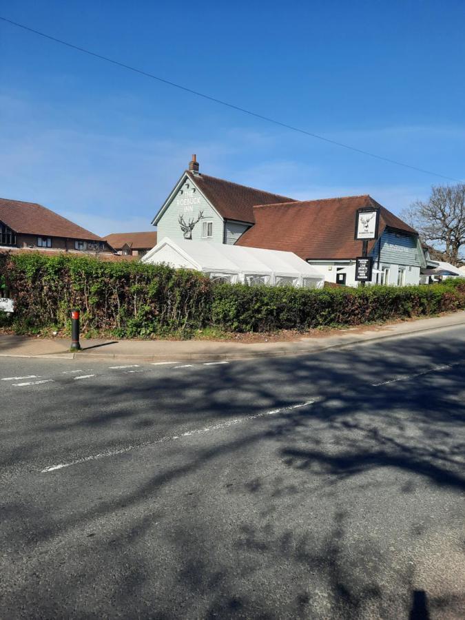 The Roebuck Inn Southampton Extérieur photo